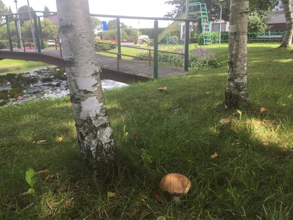 Airovita Kambariai Nakvynei Kretinga Esterno foto